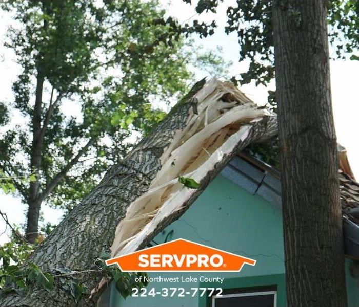 A tree has fallen on a house during a storm.
