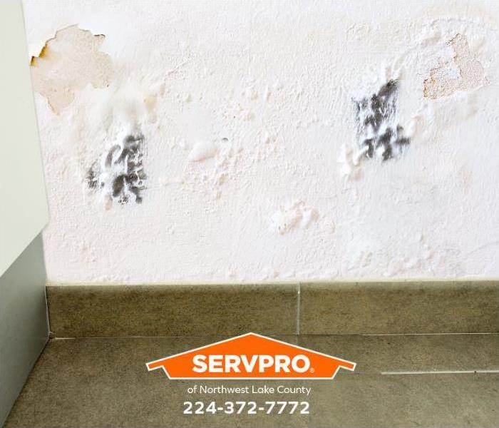 A water leak inside a wall encourages mold growth. 