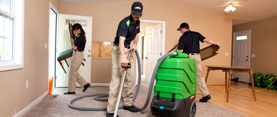 Ingleside, IL cleaning services